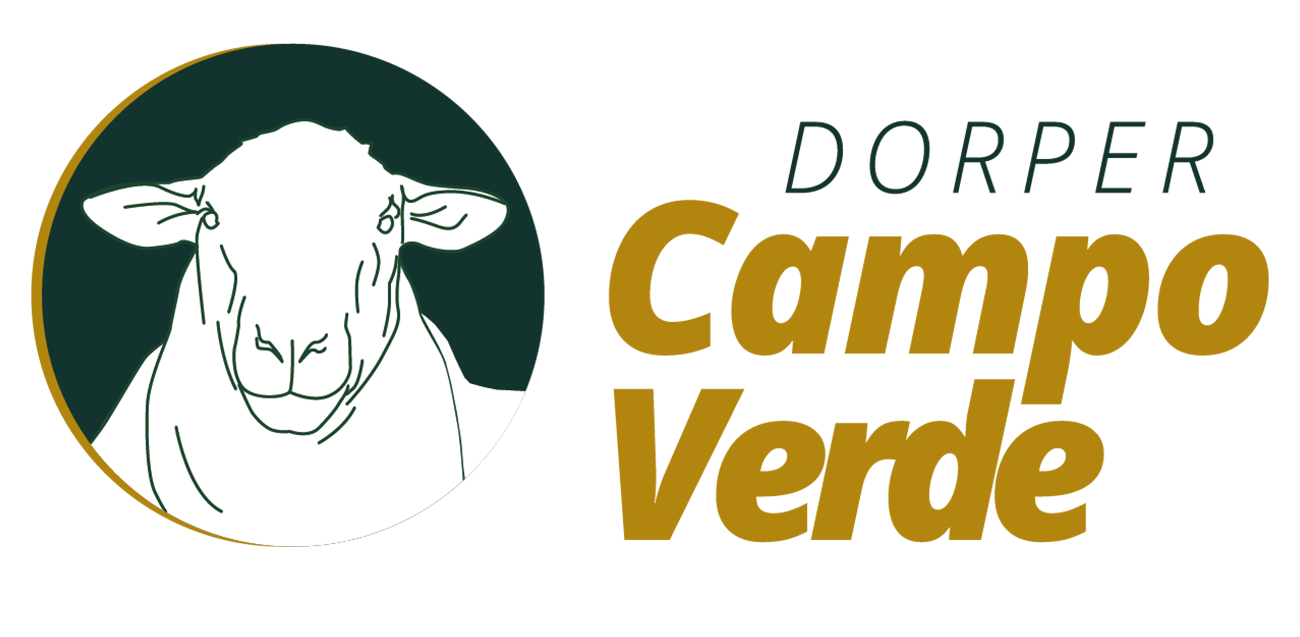Logo Dorper Campo Verde